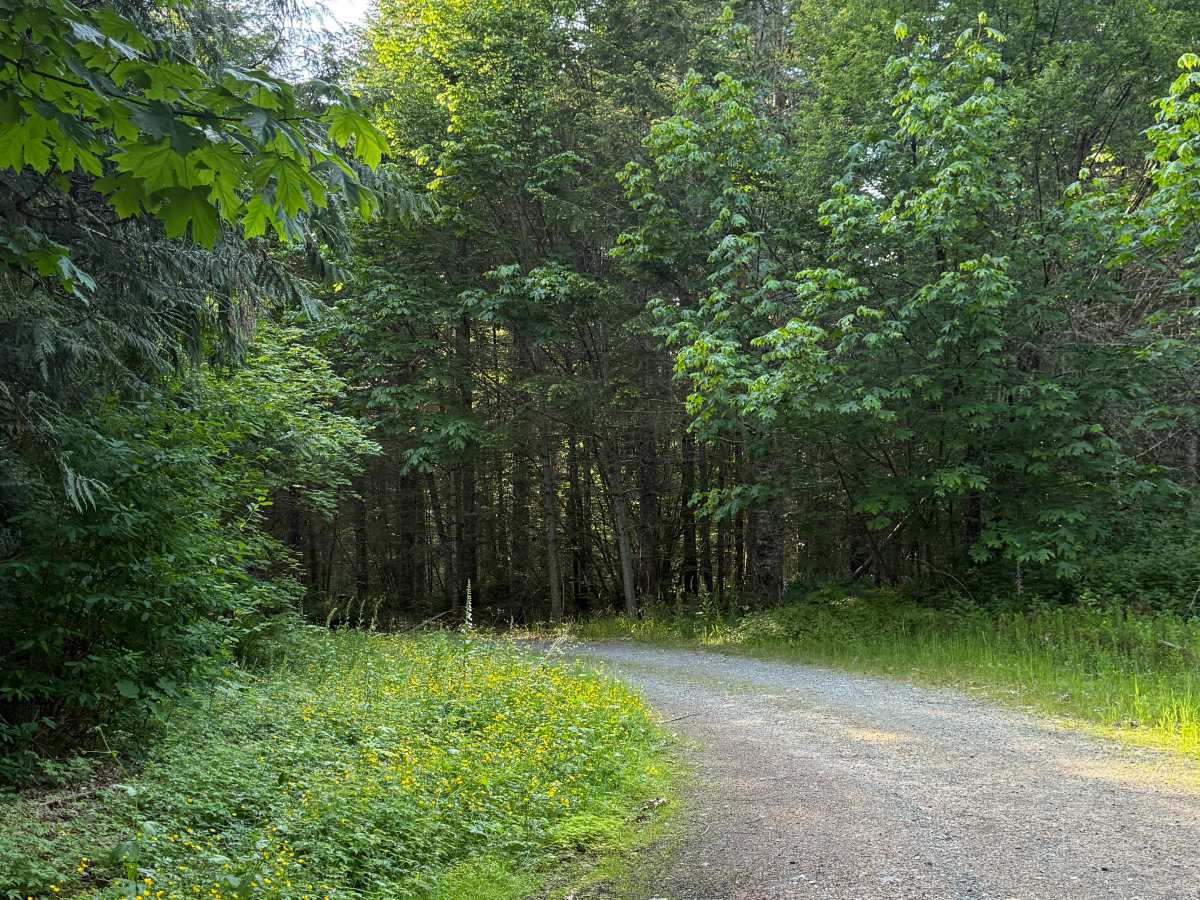 Finney Creek Road Loop photo 2