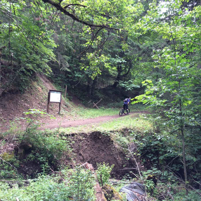 Near Jewett Creek Watershed