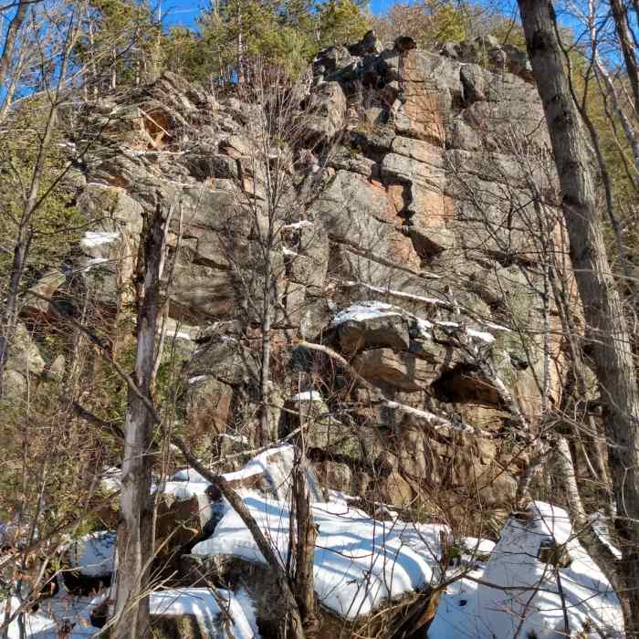 Near MOC Trail