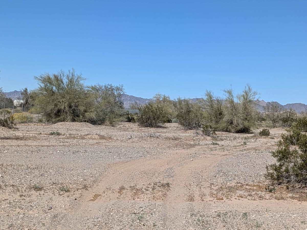 BLM 761 photo 5