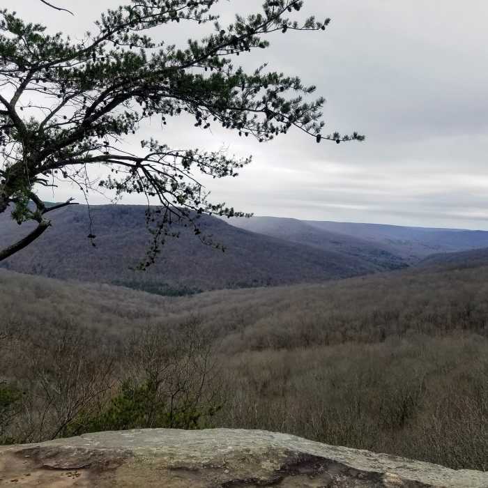 Near Virgin Falls Lollipop