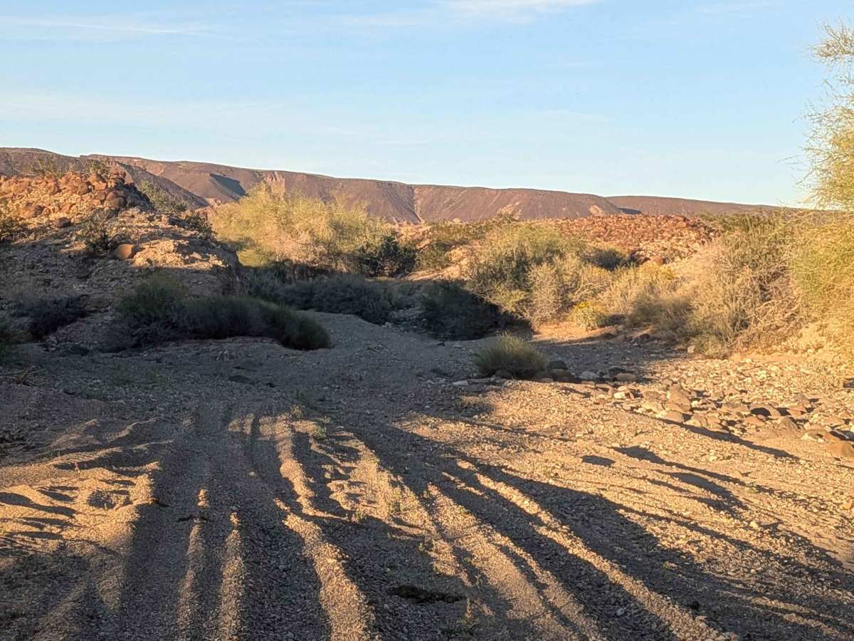 BLM 654 photo 5