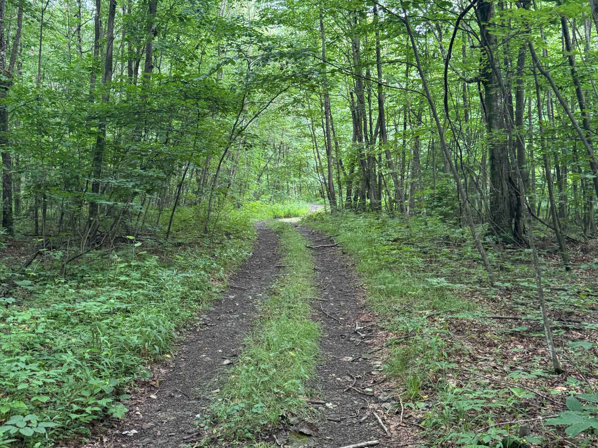 Trail 91 photo 2