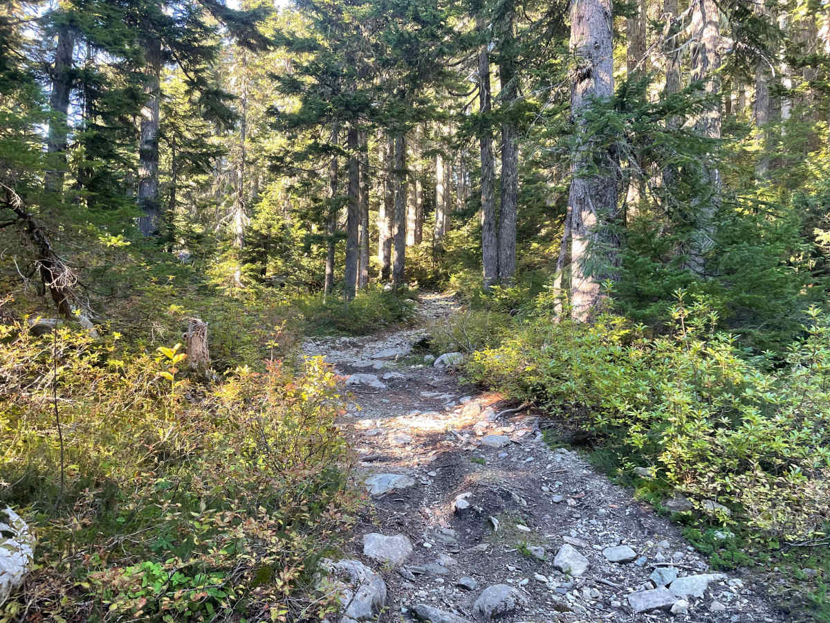 Doubletrack #1 trail photo