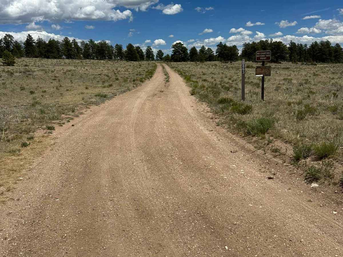Egore Iv Road photo 5