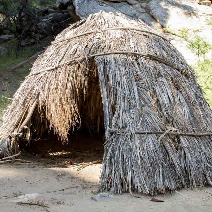 Near Palm Canyon + Victor Trail Loop