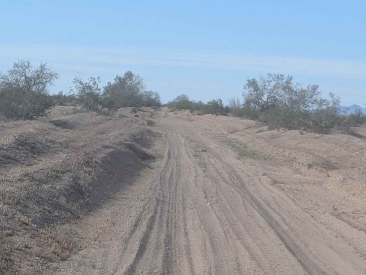 Ted Kipf Road trail photo