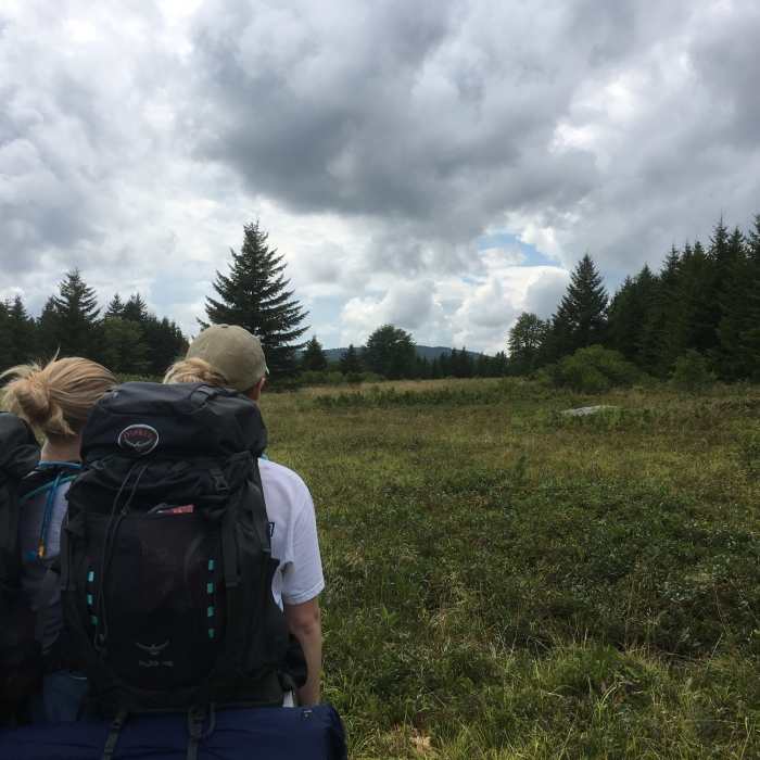 Near Red Creek Trail