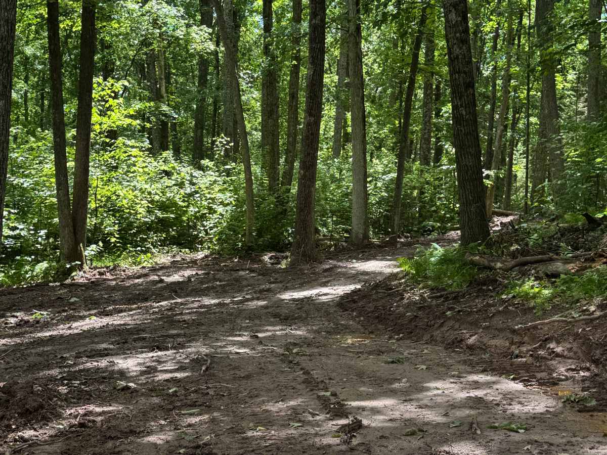 Bail-Out Trail Loop photo 4