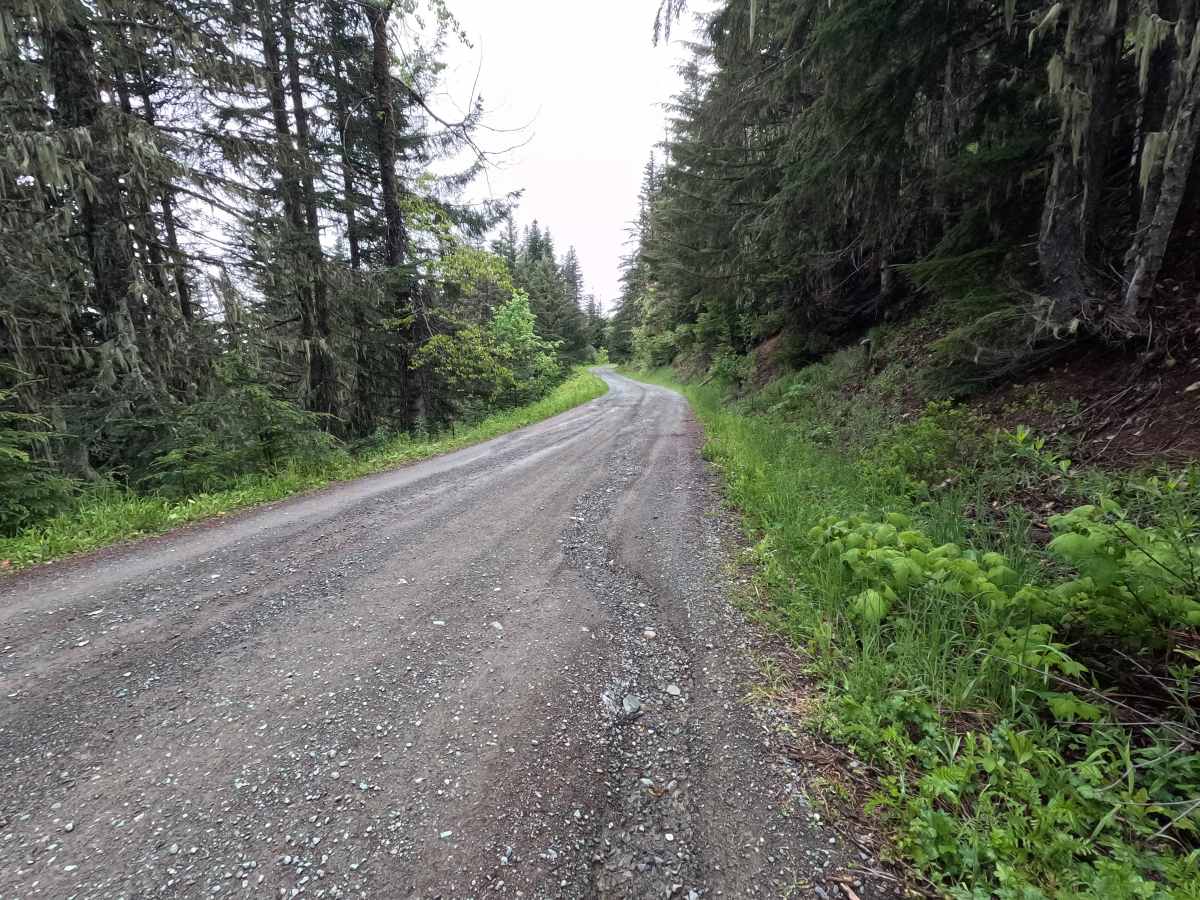 Sauk Mountain Road - FS 1036 photo 2
