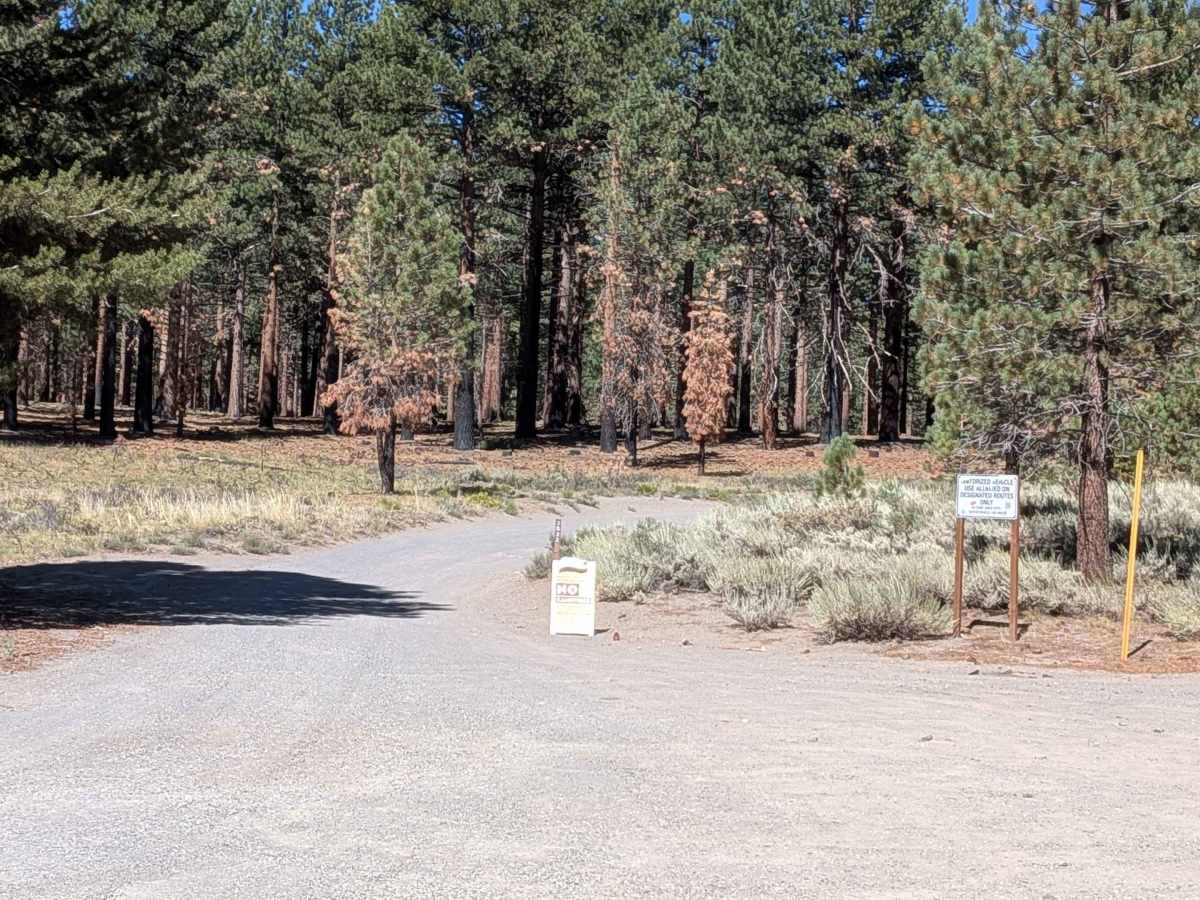 Forest Service Road 3S22 trail photo