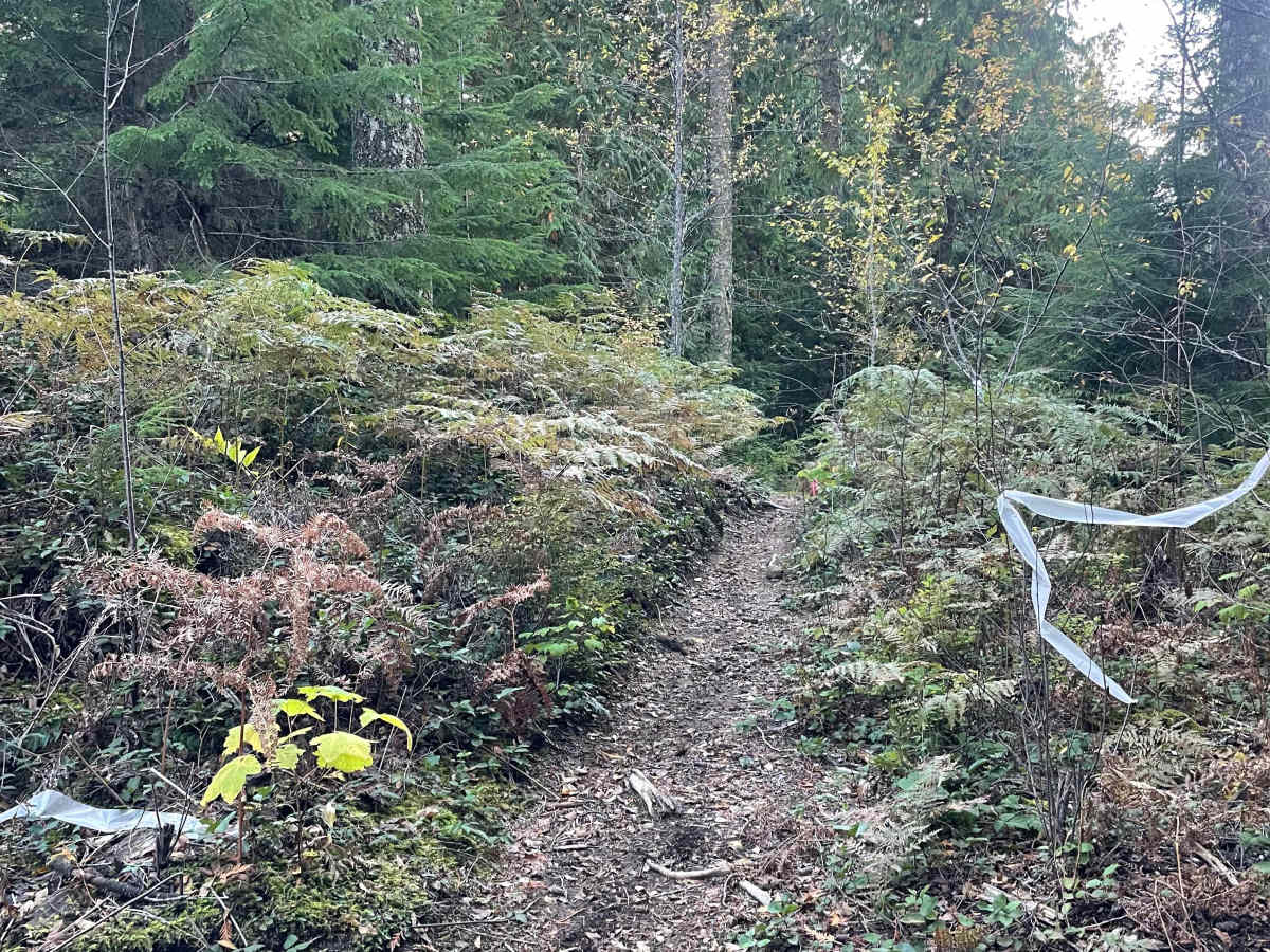 Hayden's Trail Connector photo 5