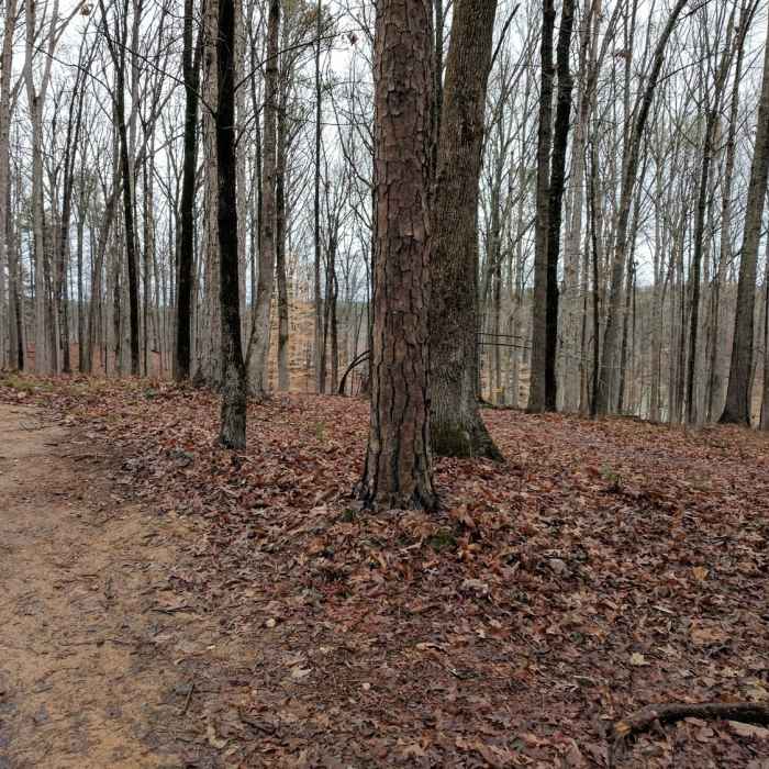 Near Lake Loop Trail