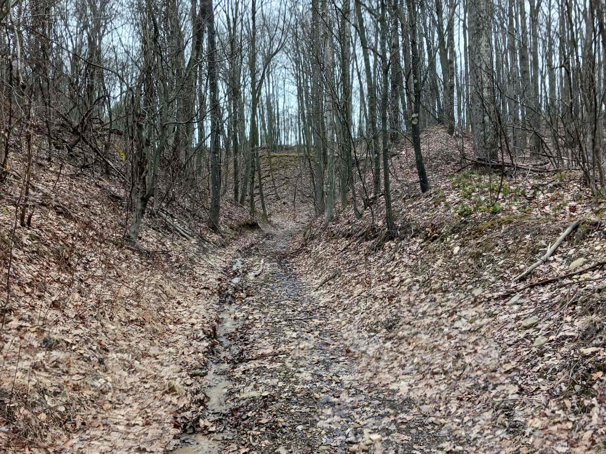 Trail 4D - Rock Run Recreation Area photo 5