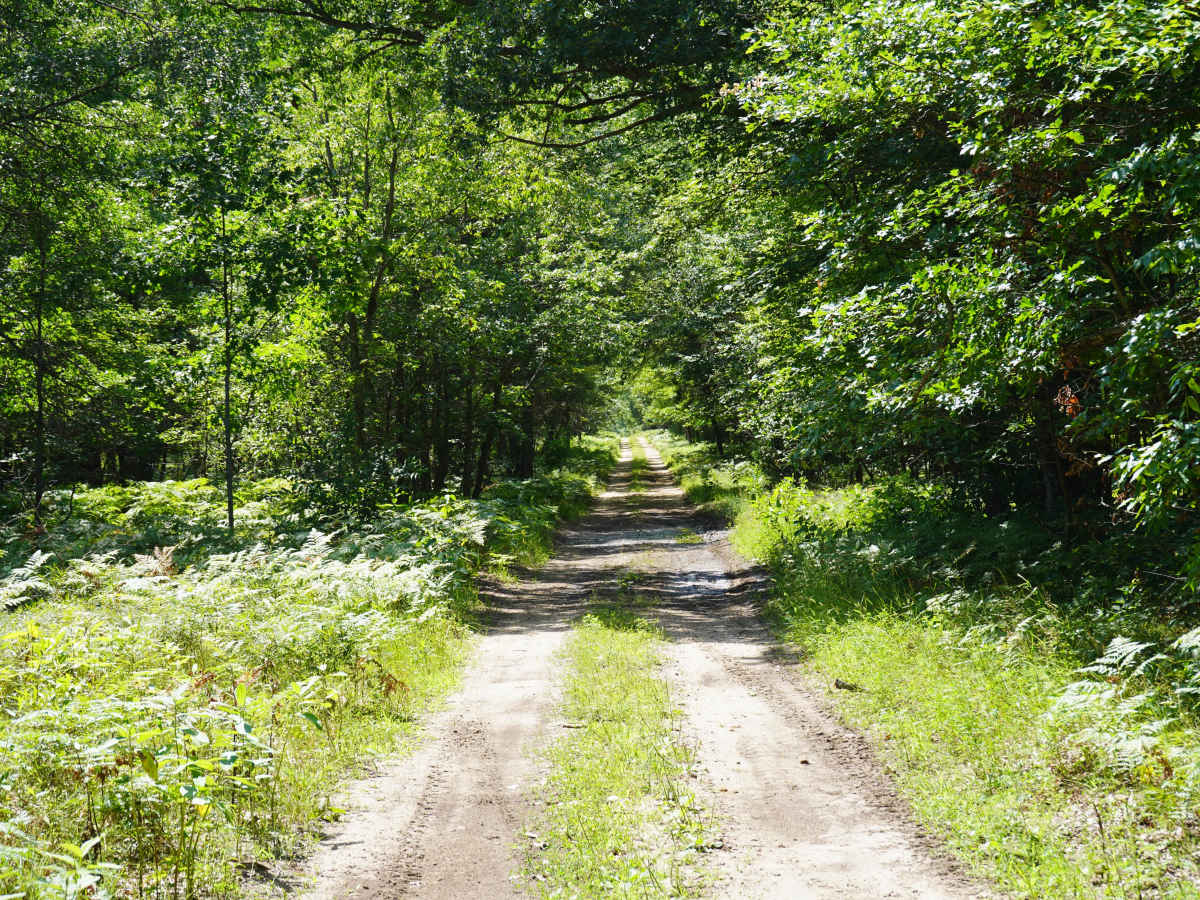 Sawyer Road photo 4
