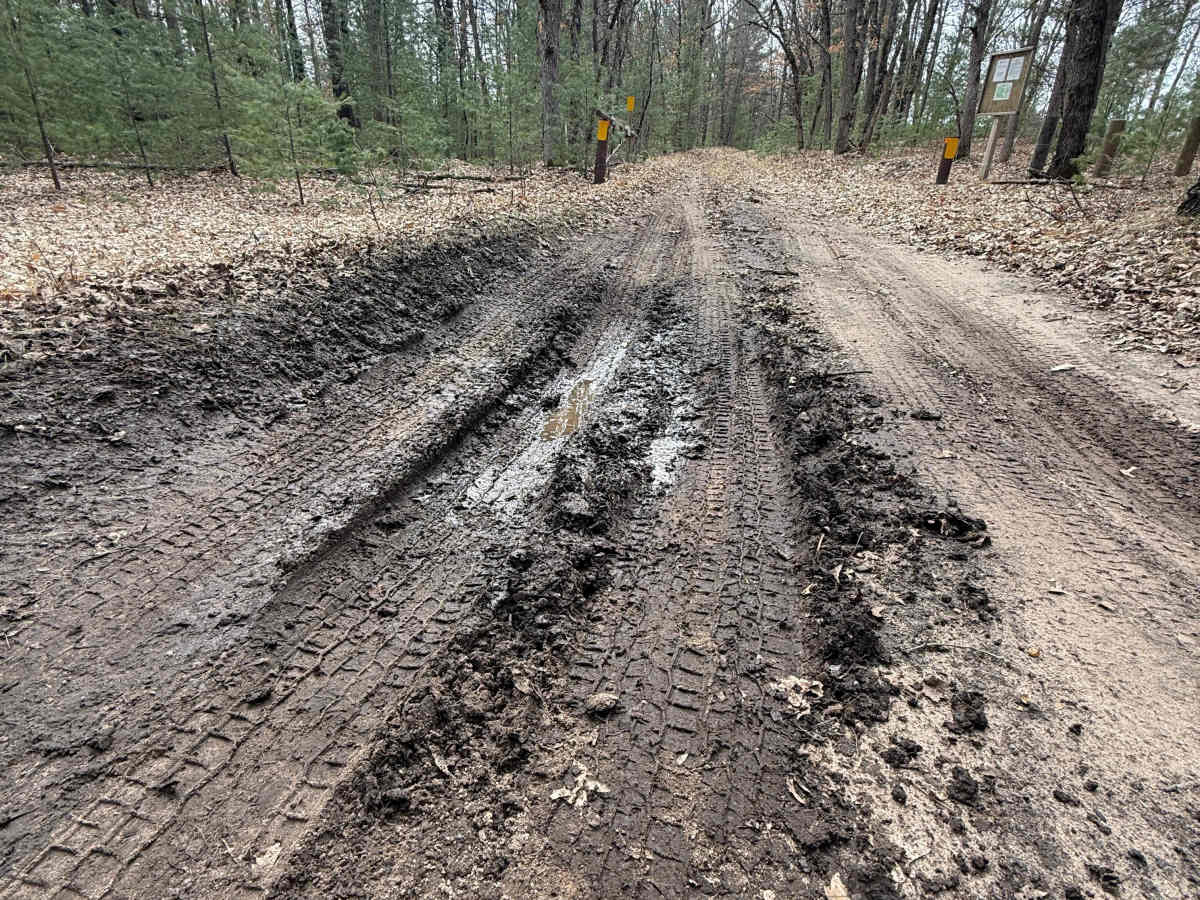 FS 8481 trail photo