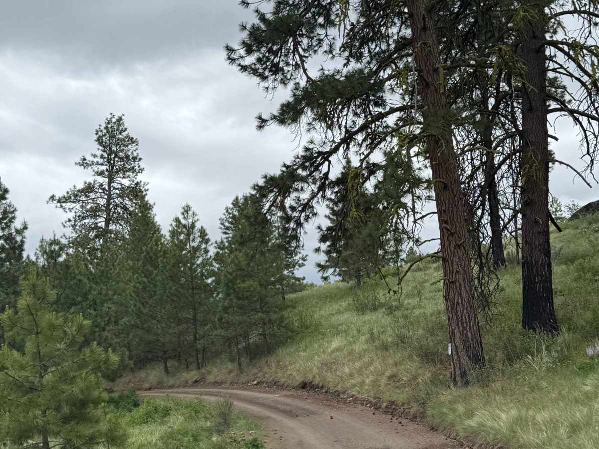 Campbell Lake Road photo 2