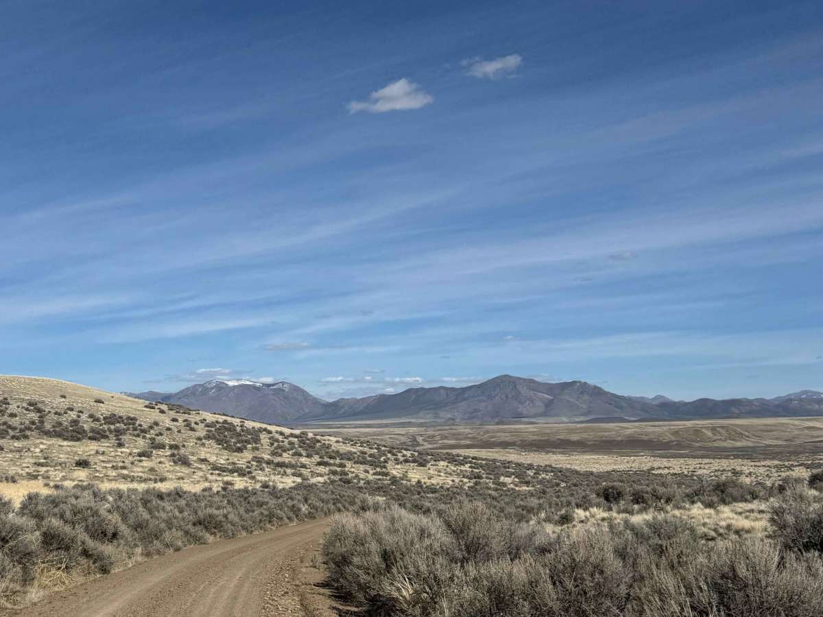 Four Mile Creek Road photo 4