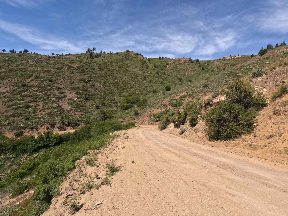 Oklahoma Gulch Road photo 4