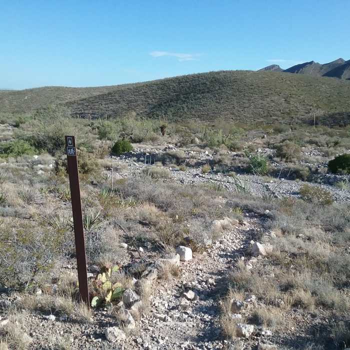 Near Schaeffer Shuffle