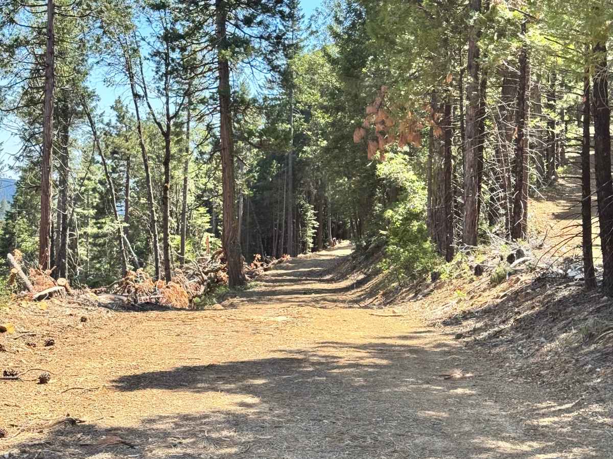 Upper Glen Spur - FS 96 trail photo