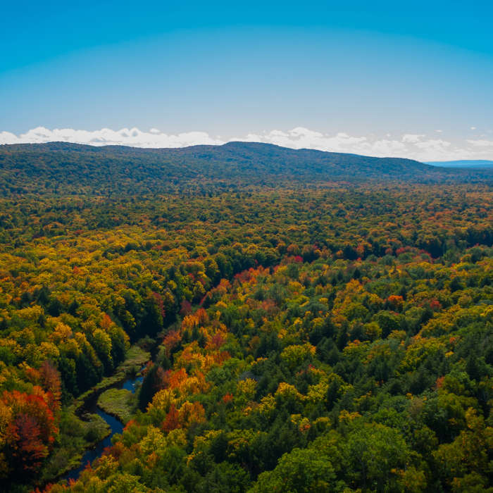 The Big Carp River. Near Porcupine Mountains Scenic Wilderness Loop
