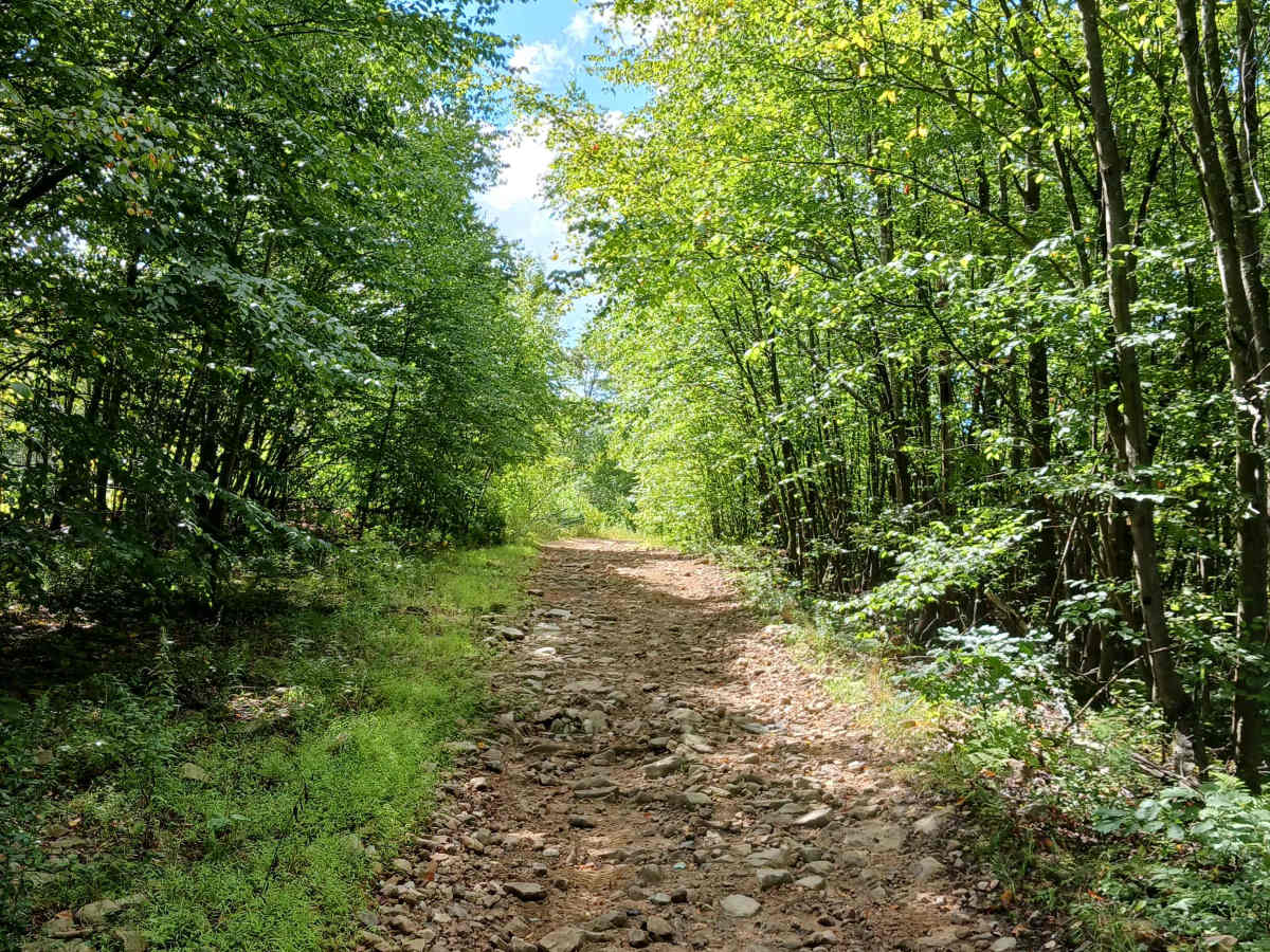 Radio Road - Rock Run Recreation Area photo 5