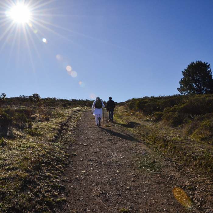 Near Sweeney Ridge Trail