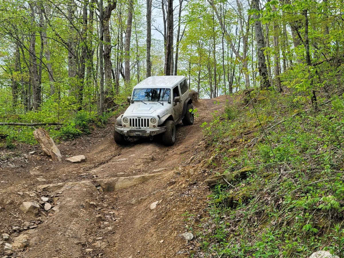 8 - Humpback trail photo
