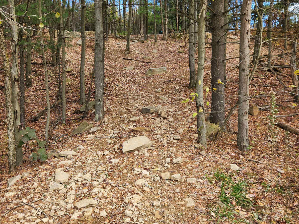 OHV 5L - Rock Run Recreation Area trail photo