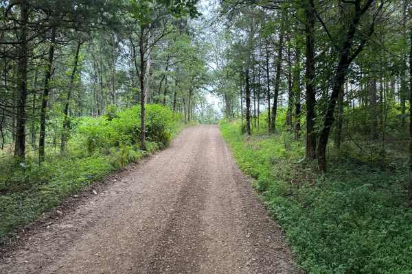 County Road 3365