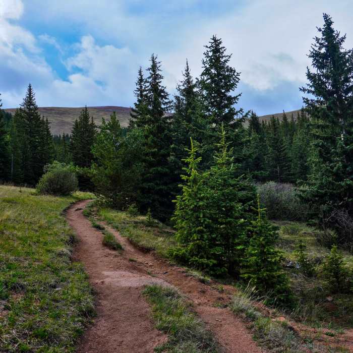 Near Devil's Playground (#664A)