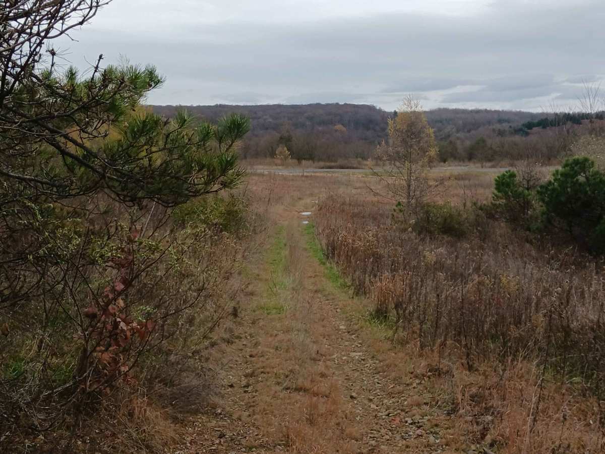 Trail 13B - Rock Run Recreation Area photo 5
