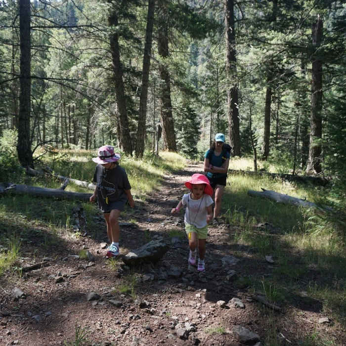 Near Argentina Canyon Trail (#39)