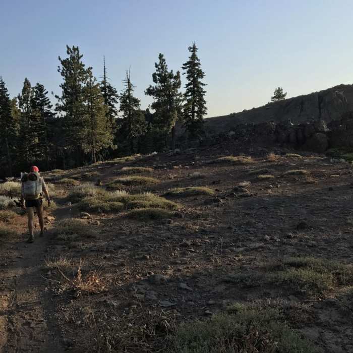 Near Pacific Crest Trail: California Section N