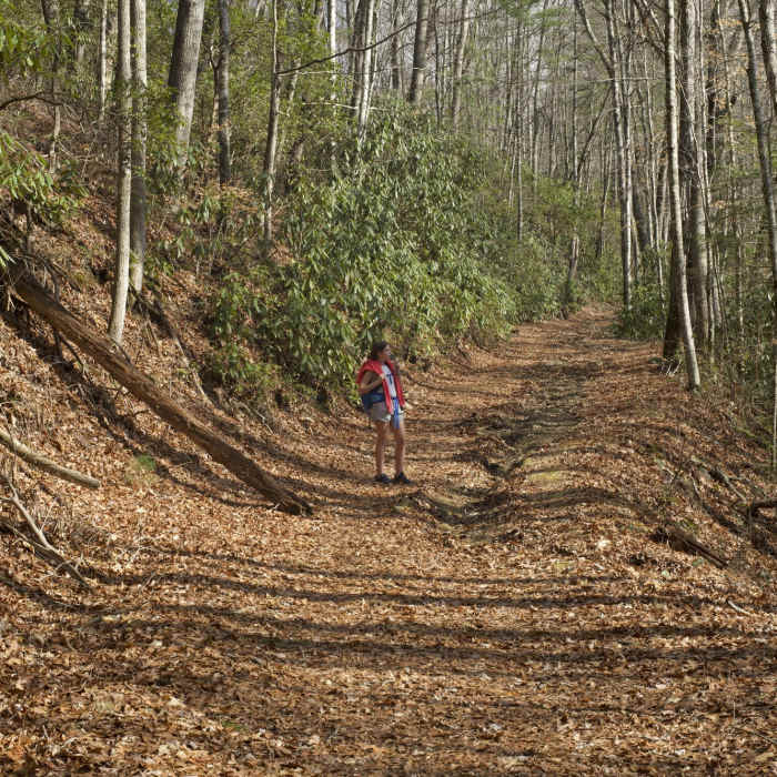 Near Twentymile Loop Trail