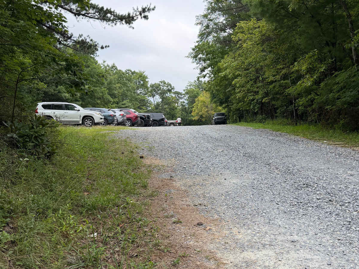 Wiseman’s View Road - FS 458 photo 6