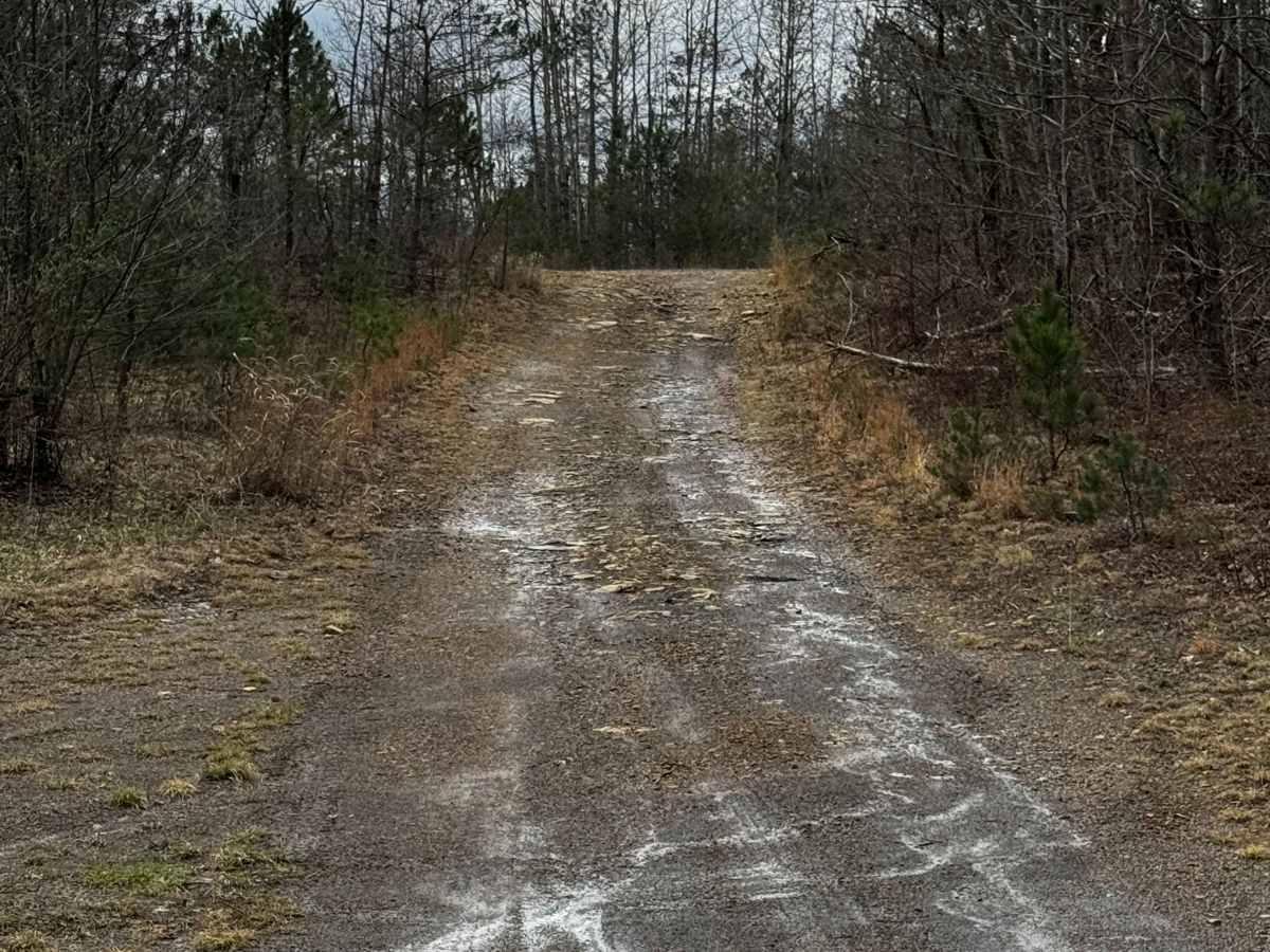 Hog Back Mountain Trail photo 5