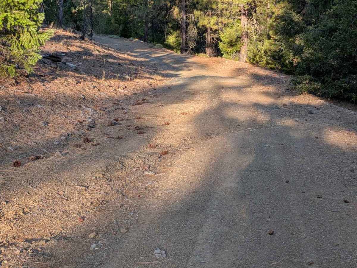 Dubakella Mountain Road - FS 30N27 photo 6