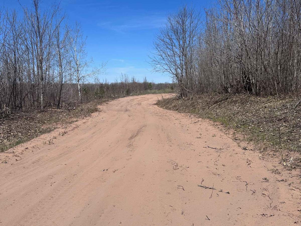Tamarack Sandway photo 3