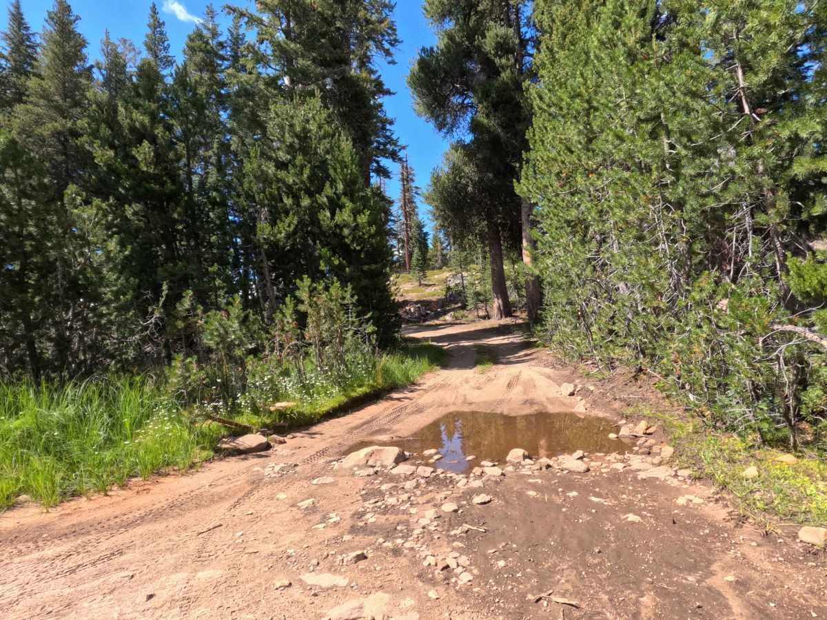 Tamarack Lake Spur - FS 31097A photo 3