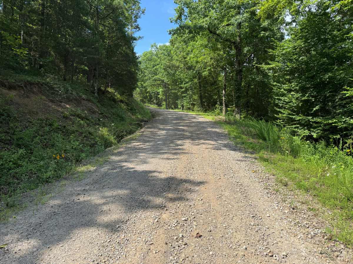County Road 3857 photo 2