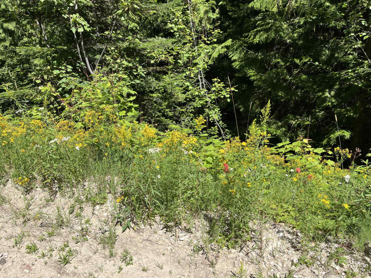 FSR 1449 photo 5