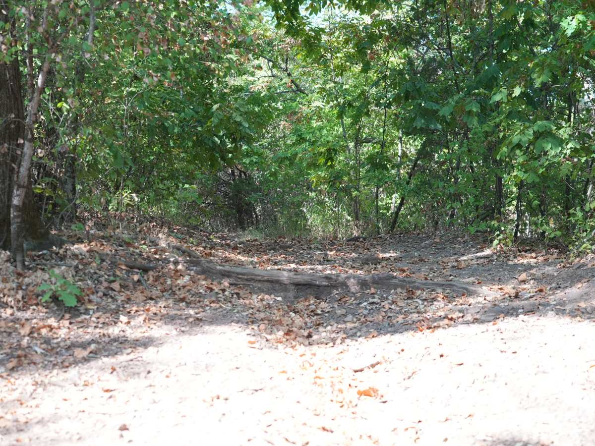 Green 54 trail photo