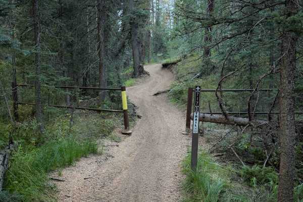 West Creek Spur - FS 717D 