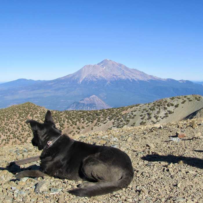 Near Mount Eddy Out-and-Back