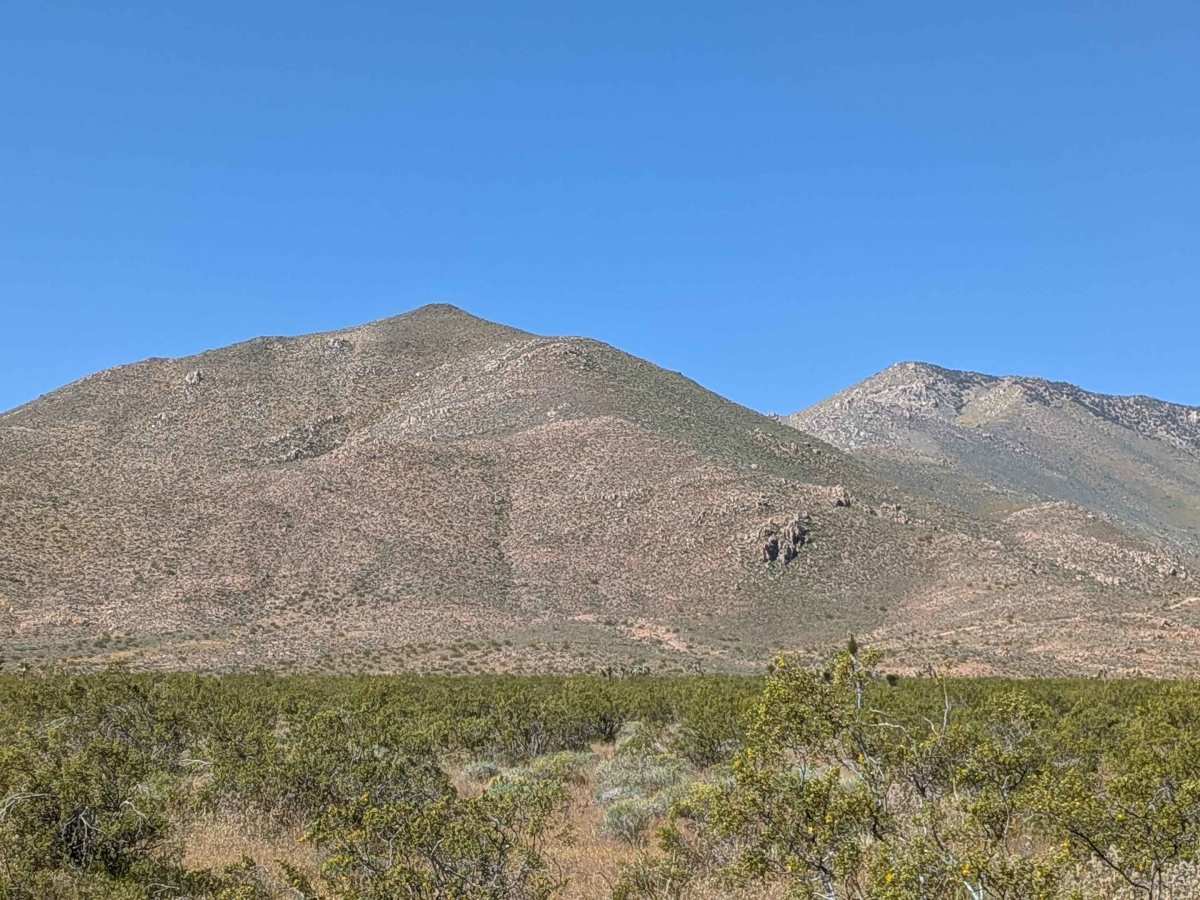 BLM SC82 photo 5