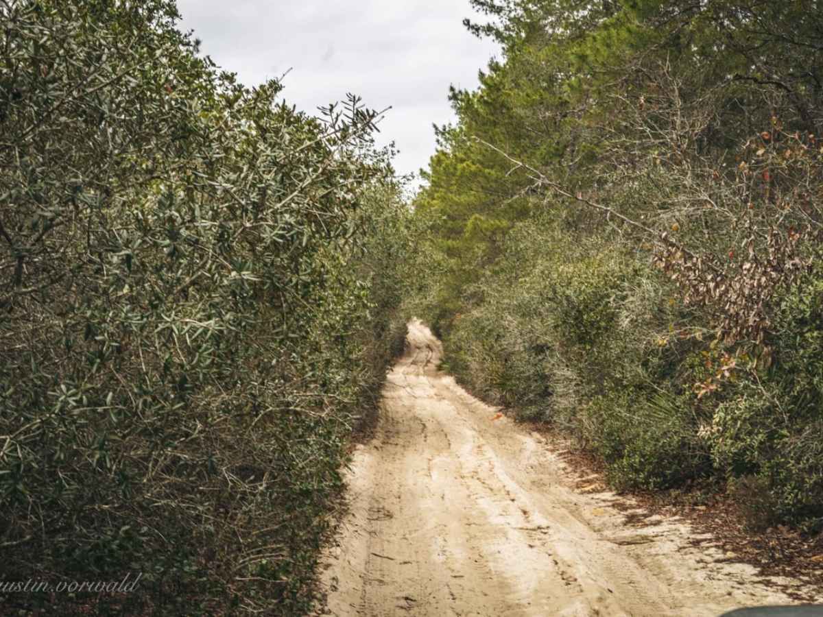 FR 46/Pats Island Rd trail photo