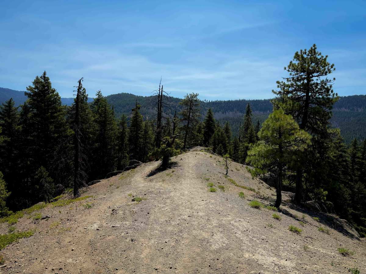 Indian Flat - FS 955  trail photo