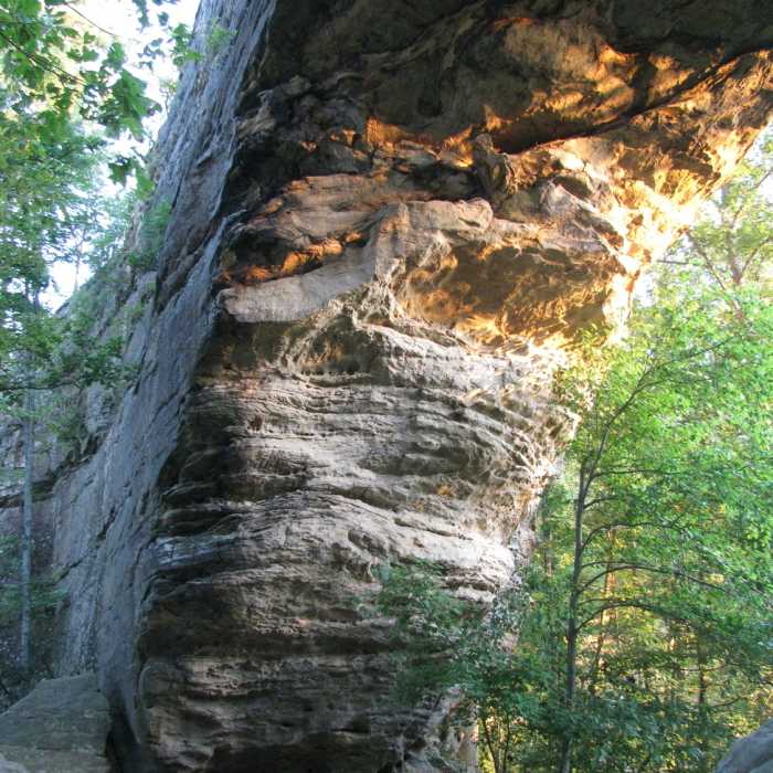 Natural Bridge Near Hood Branch Loop